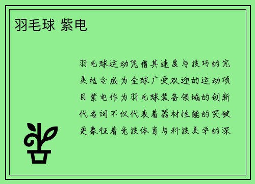 羽毛球 紫电